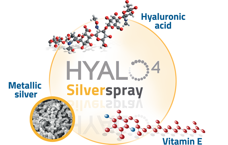 HYALO4 Silver Spray Works